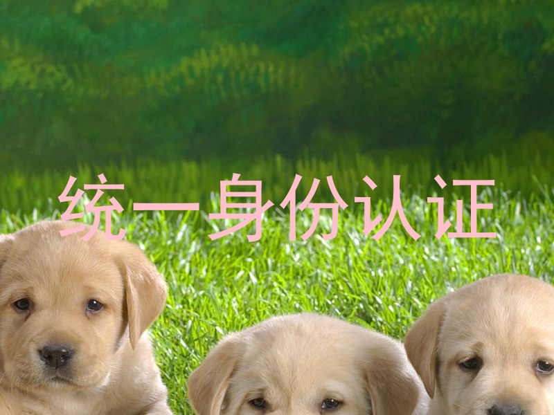 统一身份认证