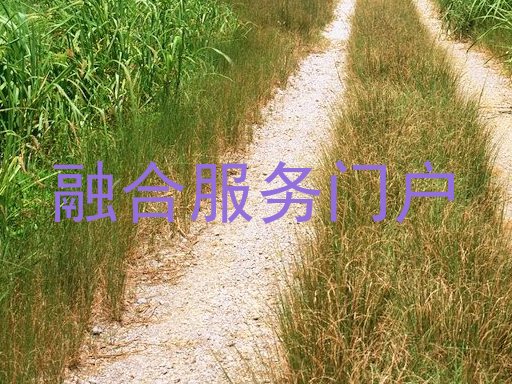 融合服务门户