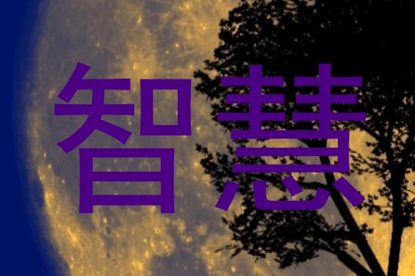智慧