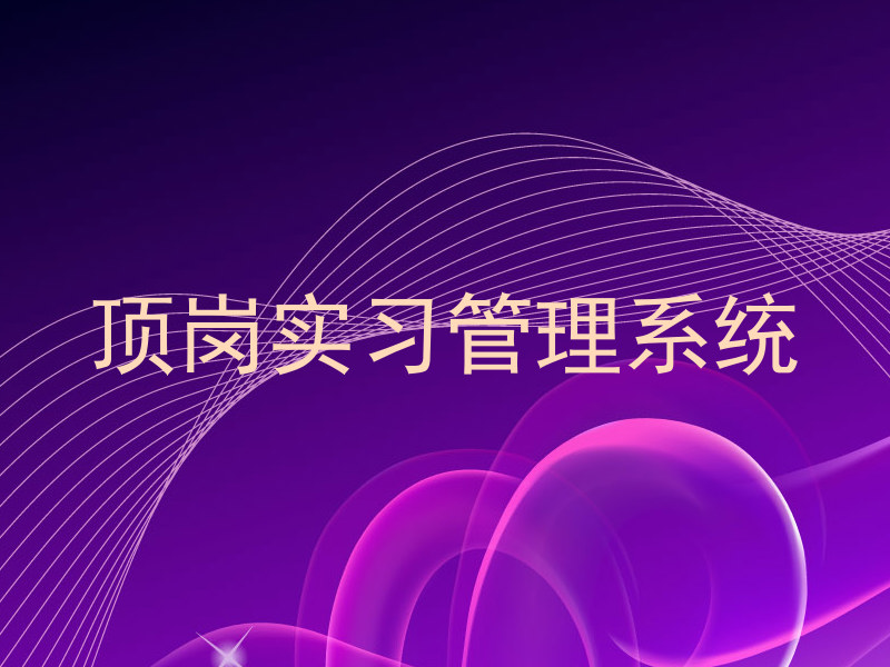 顶岗实习管理系统