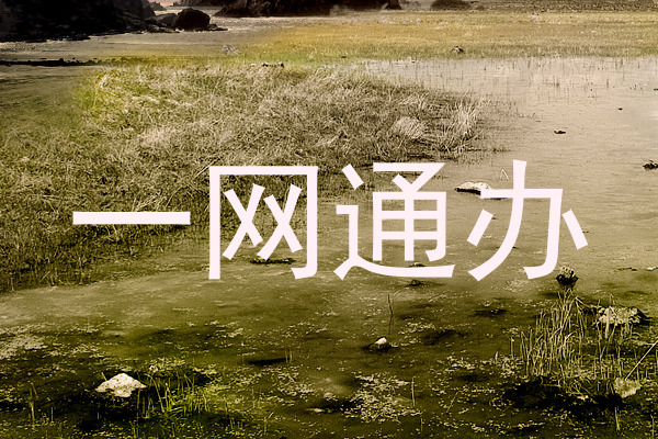 一网通办