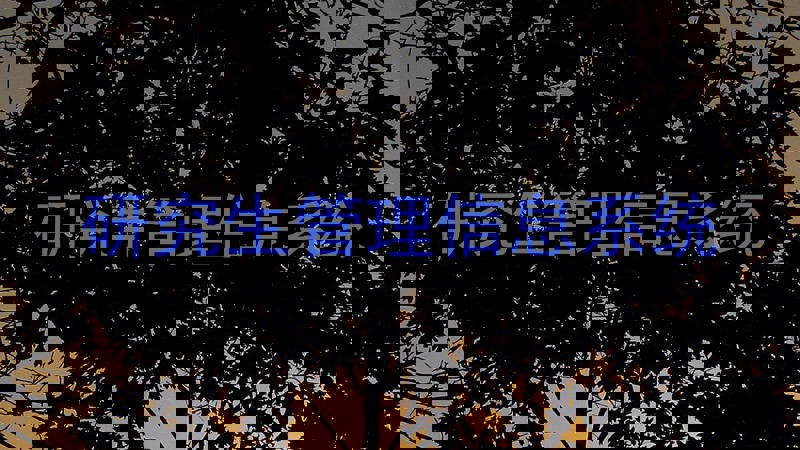 研究生管理信息系统