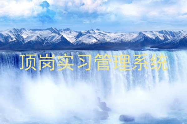 顶岗实习管理系统