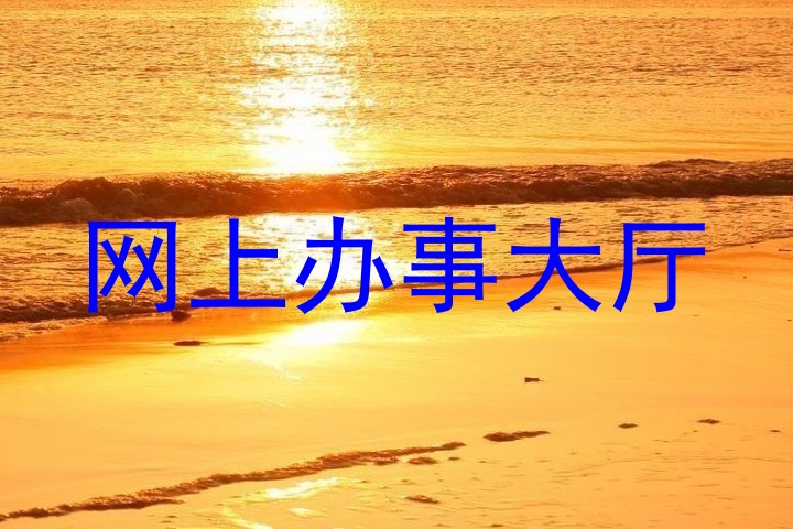 网上办事大厅
