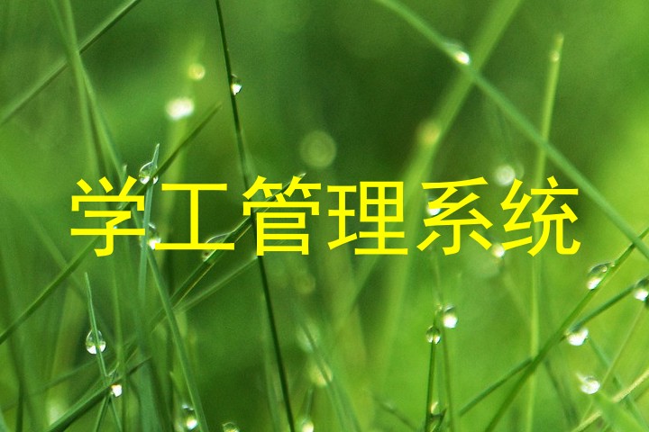 学工管理系统