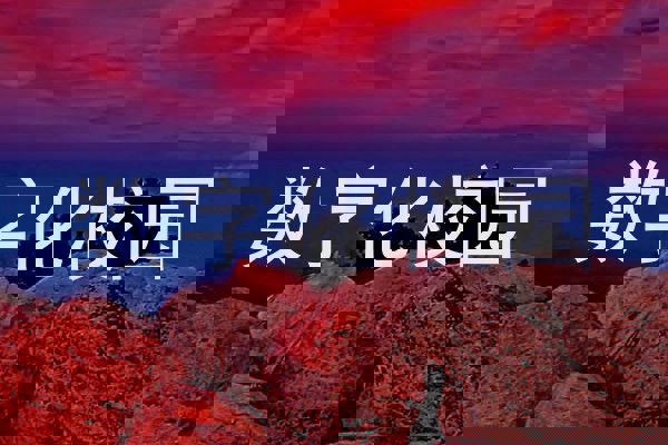 数字化校园