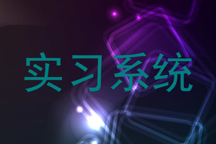 实习系统