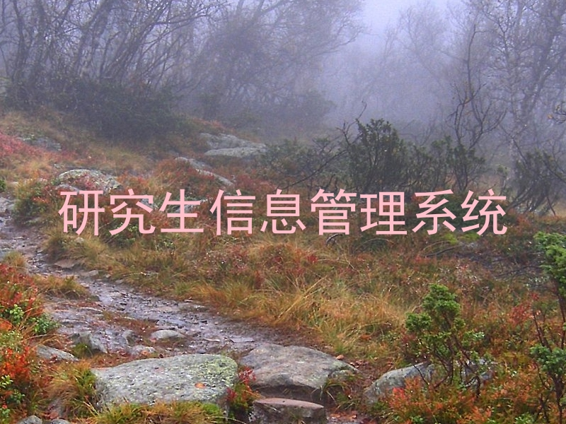 研究生信息管理系统