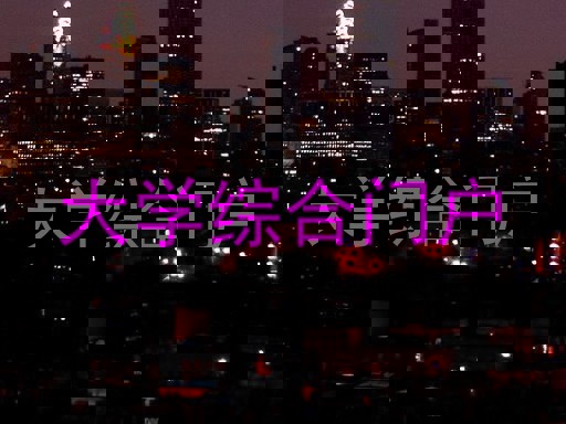 大学综合门户