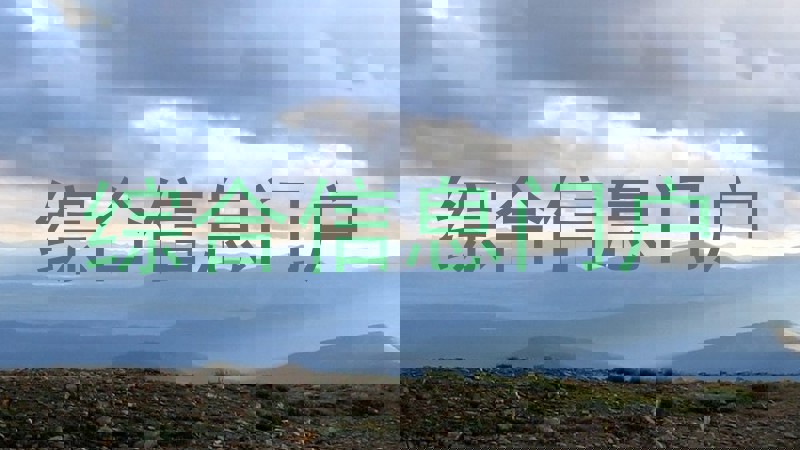综合信息门户