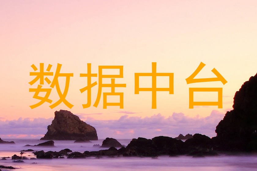 数据中台