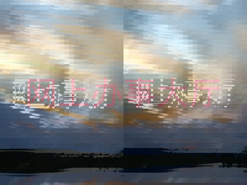 网上办事大厅