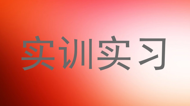 实训实习