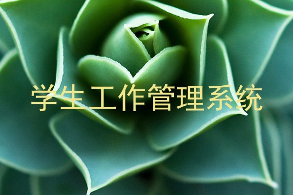 学生工作管理系统