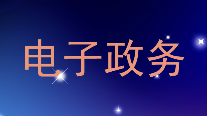 电子政务