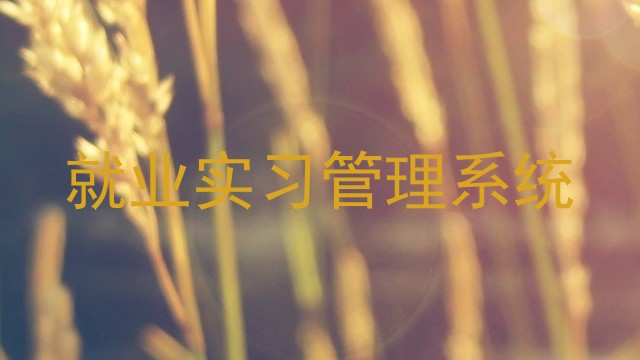 就业实习管理系统