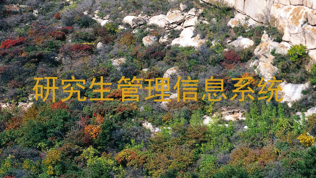 研究生管理信息系统