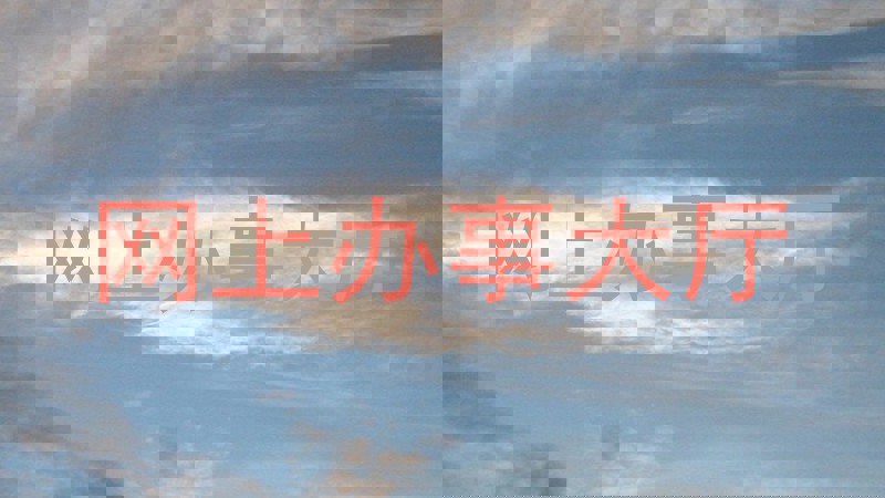 网上办事大厅