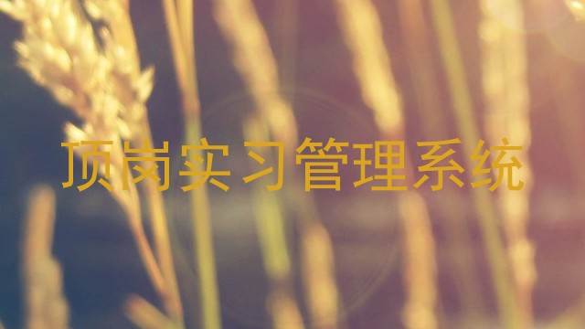 顶岗实习管理系统