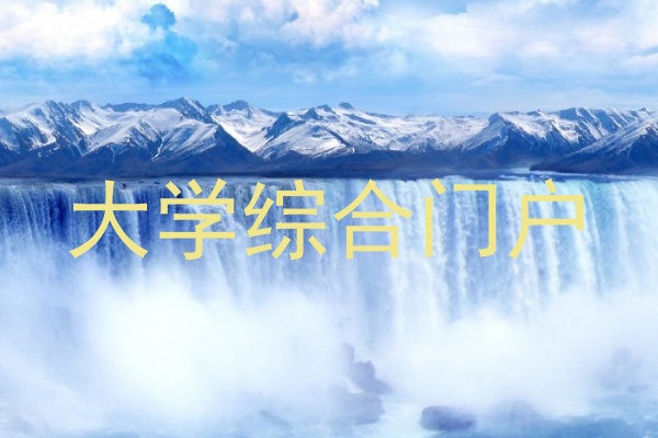 大学综合门户