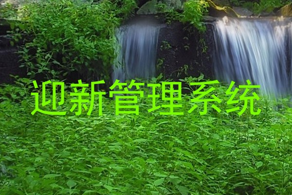 迎新管理系统
