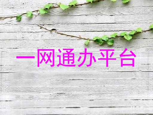 一网通办平台