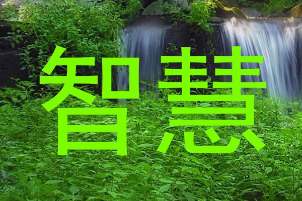 智慧