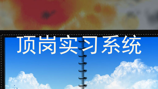 顶岗实习系统