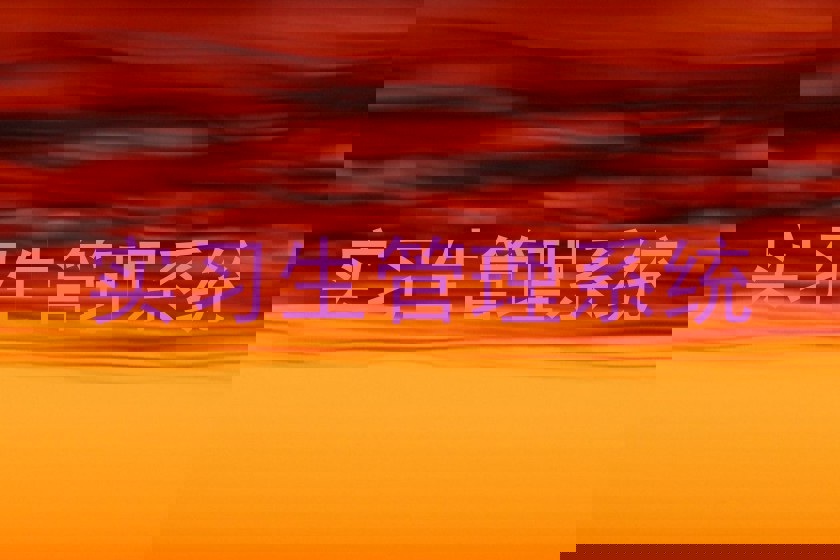 实习生管理系统