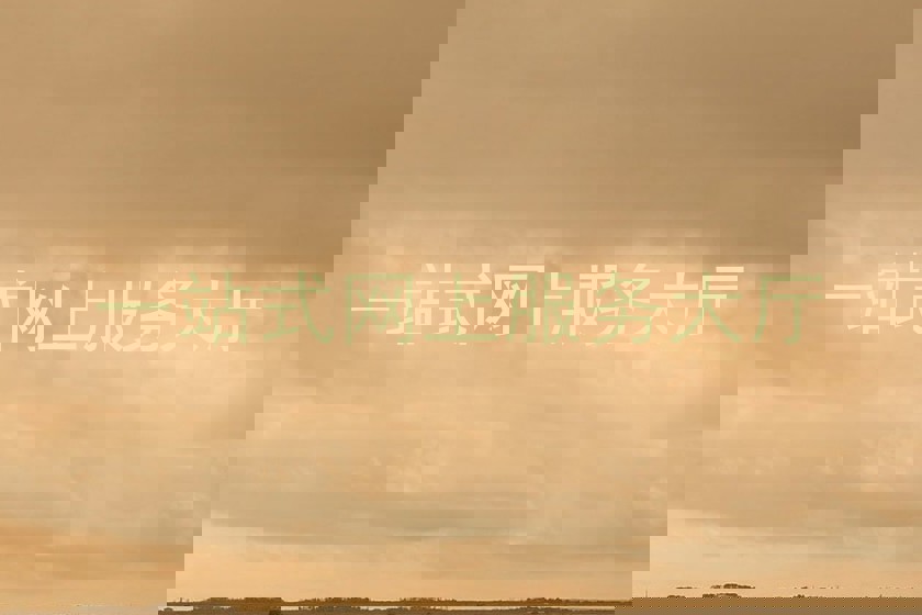 一站式网上服务大厅