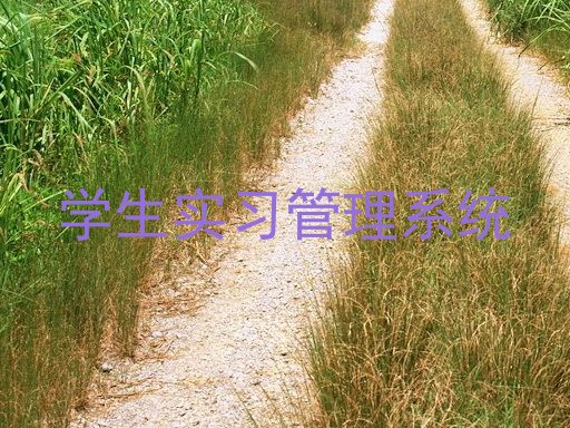 学生实习管理系统