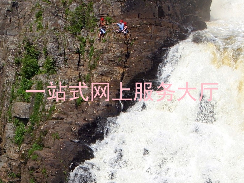 一站式网上服务大厅
