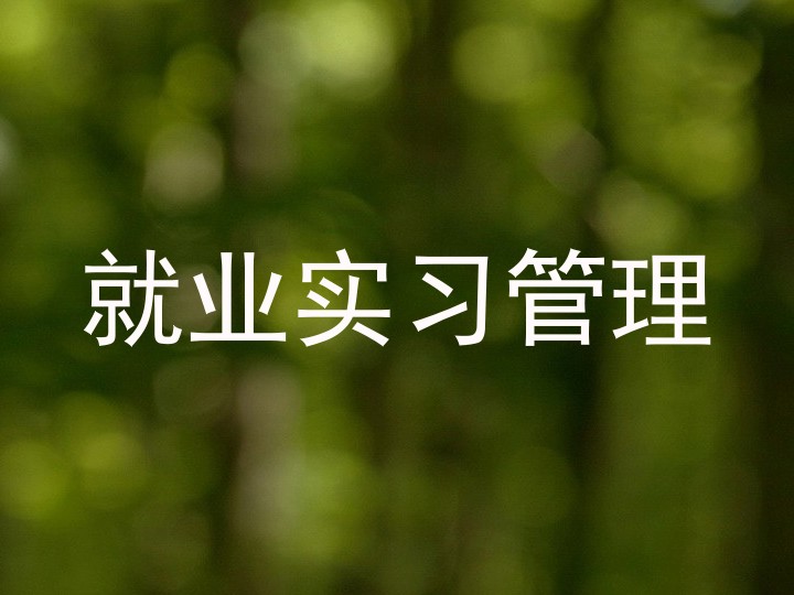 就业实习管理