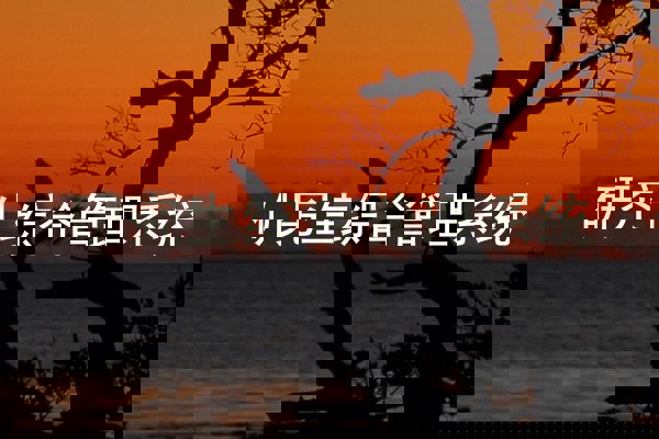研究生综合管理系统