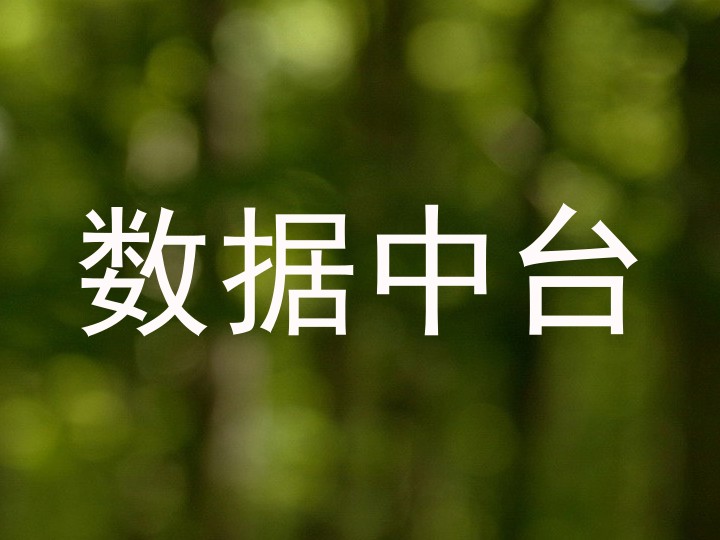 数据中台