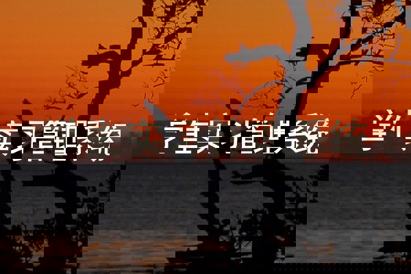 学生实习管理系统
