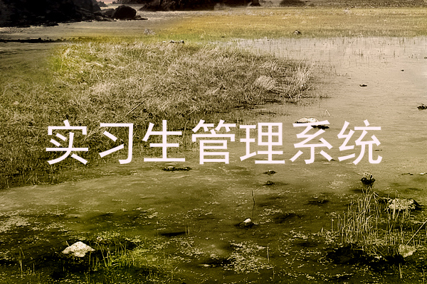 实习生管理系统