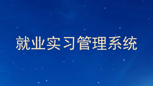 就业实习管理系统