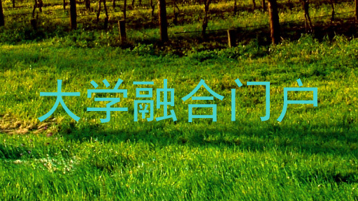 大学融合门户