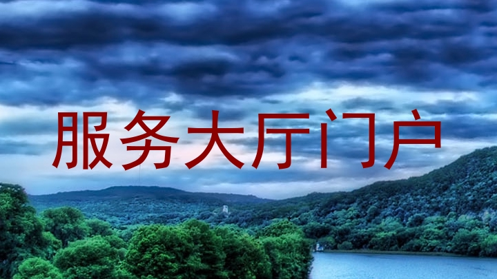 服务大厅门户