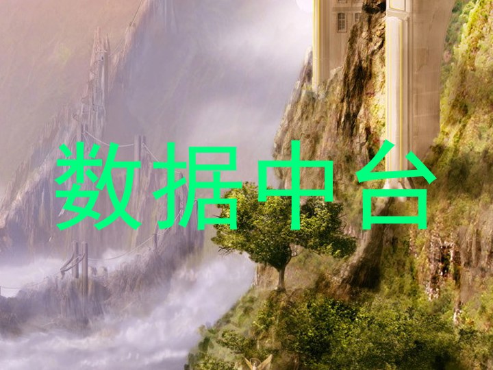 数据中台