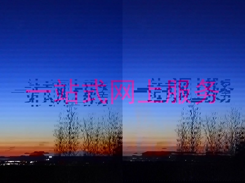 一站式网上服务