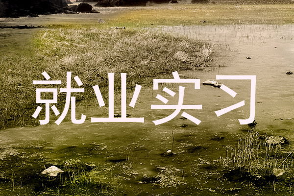 就业实习