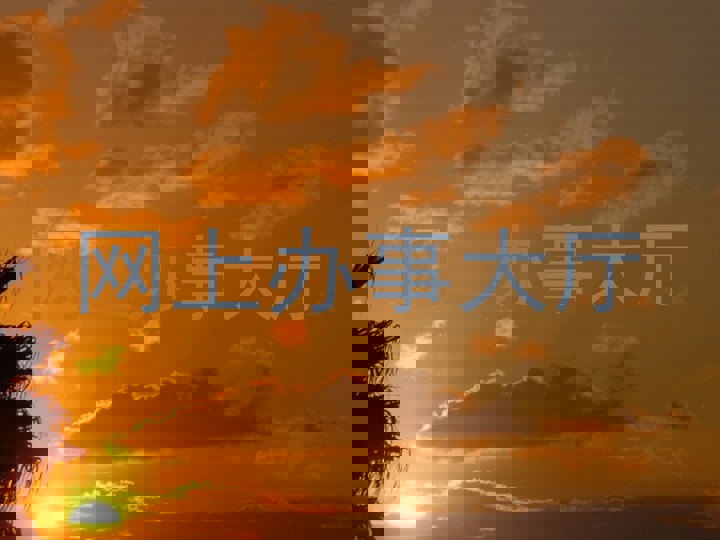 网上办事大厅
