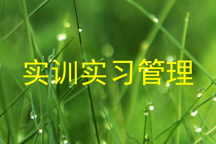 实训实习管理