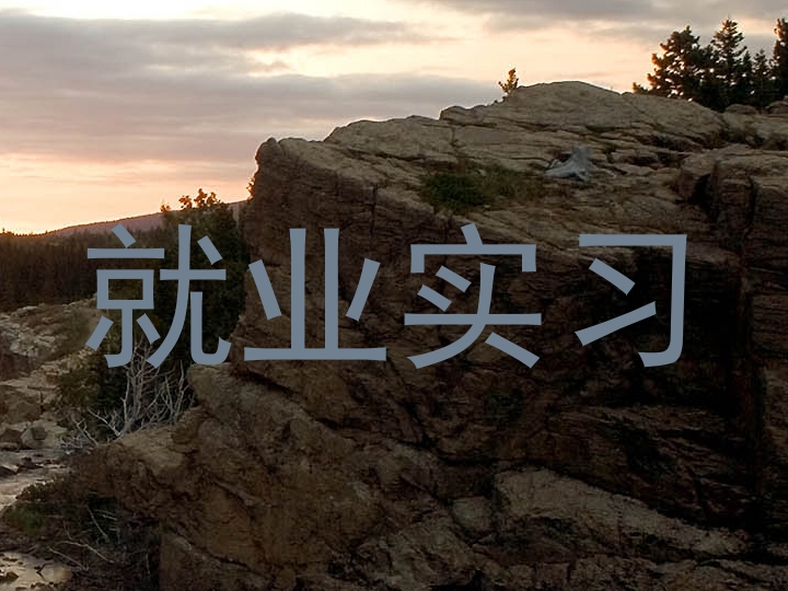就业实习