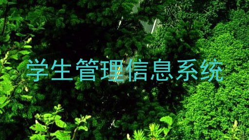 学生管理信息系统