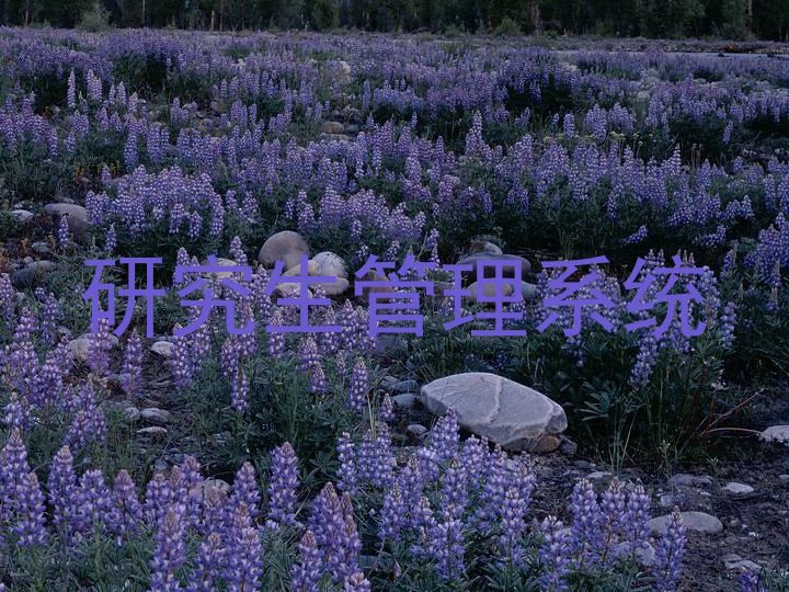 研究生管理系统