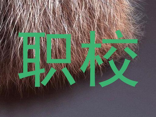 职校
