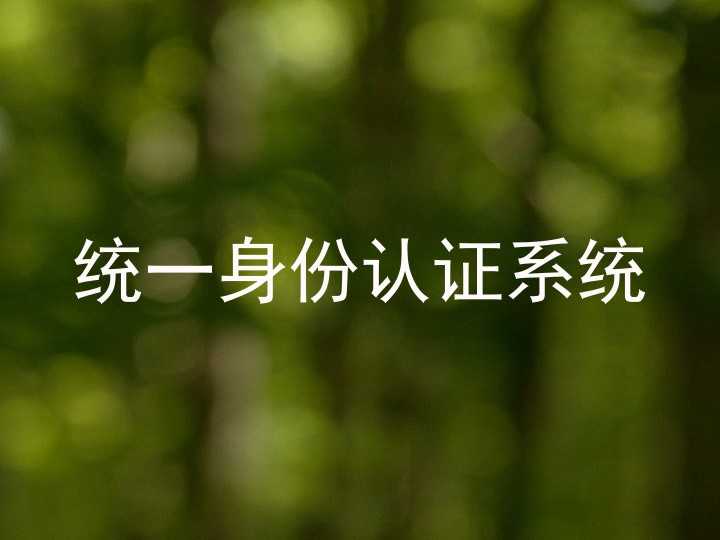 统一身份认证系统
